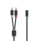 CABW22255AT10 Stereo-audiokabel | 2x rca male | 3,5 mm female | verguld | 1.00 m | rond | antraciet | doos