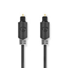 CABW25000AT10 Optische audiokabel | toslink male | toslink male | 1.00 m | rond | pvc | antraciet | doos