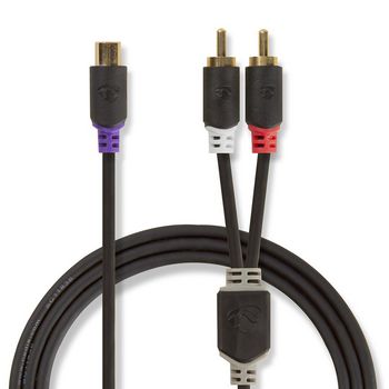 CABP24020AT02 Stereo-audiokabel | 2x rca male | rca female | verguld | 0.20 m | rond | antraciet | polybag