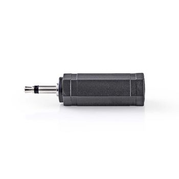 CAGP22934BK Mono-audioadapter | 3,5 mm male | 6,35 mm female | vernikkeld | recht | abs | zwart | 10 stuks | pol