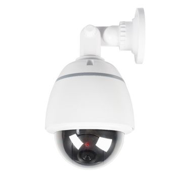 SAS-DUMMY210W Dome dummy camera ip44 wit Product foto