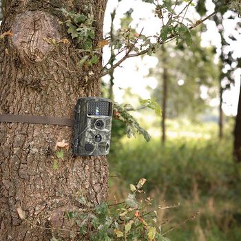 WCAM150GN Wildcamera | 1080p@30fps | 24.0 mpixel | 5 mpixel cmos | ip66 | zwart no-glow ir | nachtzicht | kijk Product foto