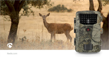 WCAM250GN Wildlife camera | 4k@10fps | 48.0 mpixel | 4 mpixel cmos | ip66 | black no-glow ir | night vision |  Product foto