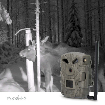 WCAM460GN Wildlife camera | 4g | 1080p@30fps | 30.0 mpixel | 2 mpixel cmos | ip66 | 4g | black no-glow ir | ni Product foto