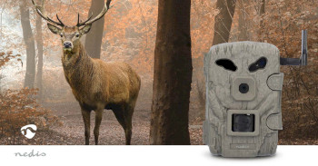 WCAM460GN Wildlife camera | 4g | 1080p@30fps | 30.0 mpixel | 2 mpixel cmos | ip66 | 4g | black no-glow ir | ni Product foto