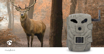 WCAM460GN Wildcamera | 1080p@30fps | 30.0 mpixel | 2 mpixel cmos | ip66 | 4g | zwart no-glow ir | nachtzicht | Product foto