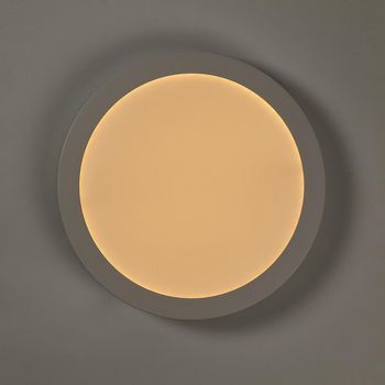 WIFILAW20WT Smartlife plafondlamp | wi-fi | koel wit / warm wit | rond | diameter: 300 mm | 1200 lm | 2700 - 650 Product foto