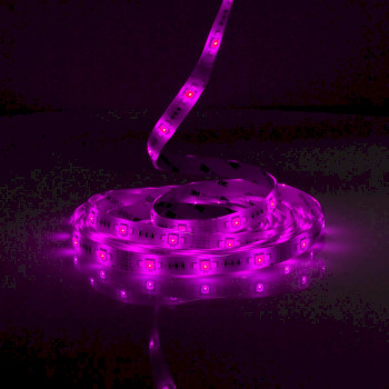 WIFILS50CRGBW Smartlife led strip | wi-fi | koel wit / rgb / warm wit | smd | 5.00 m | ip44 | 2700 - 6500 k | 960  Product foto