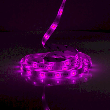 WIFILS52CRGBW Smartlife led strip | wi-fi | koel wit / rgb / warm wit | smd | 5.00 m | ip21 | 2700 - 6500 k | 960  Product foto